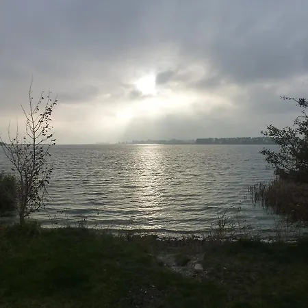 Strandlaeufer * Zempin