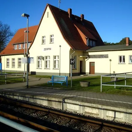 Strandlaeufer Zempin