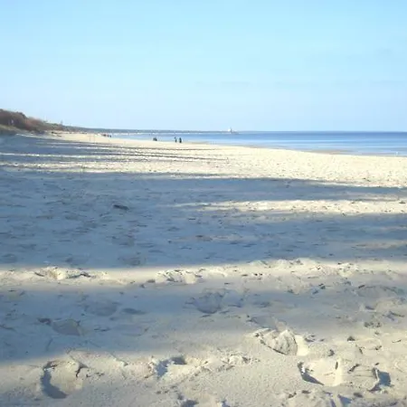 Strandlaeufer * Zempin