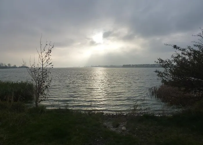 Strandläufer * Zempin
