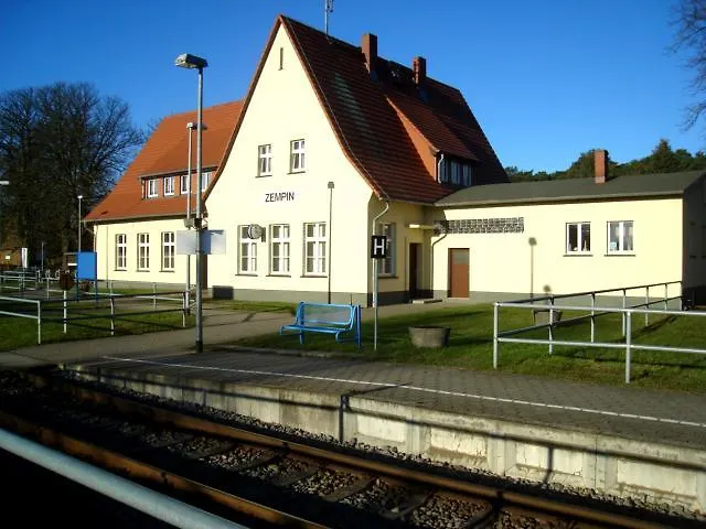 Strandläufer Zempin