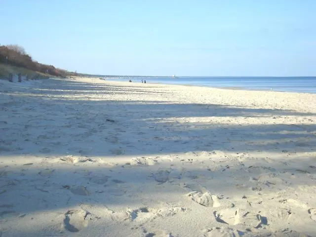 Strandläufer * Zempin